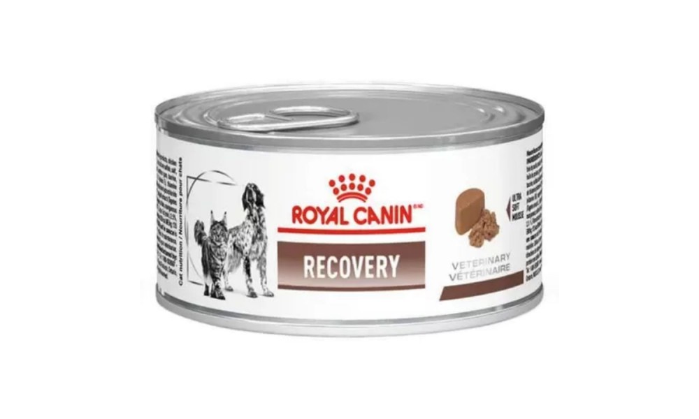 Royal Canin Lata Recovery 195gr